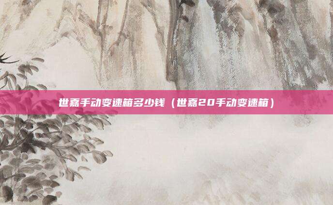 世嘉手动变速箱多少钱(世嘉20手动变速箱)