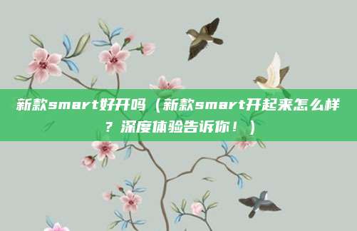 新款smart好开吗(新款smart开起来怎么样?深度体验告诉你!)