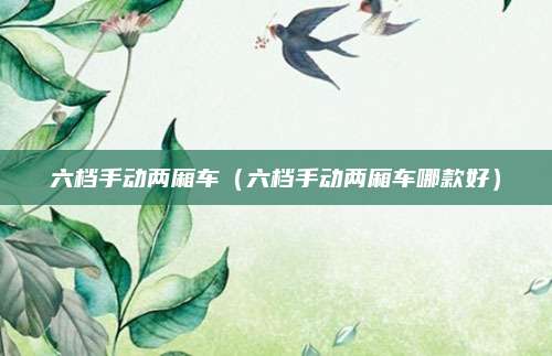 六档手动两厢车(六档手动两厢车哪款好)