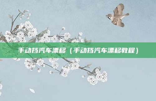 手动挡汽车漂移(手动挡汽车漂移教程)