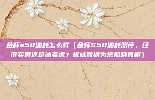 金杯s50油耗怎么样(金杯S50油耗测评,经济实惠还是油老虎?权威数据为您揭晓真相)