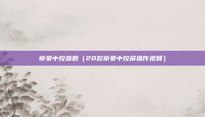帝豪中控参数(20款帝豪中控屏操作视频)