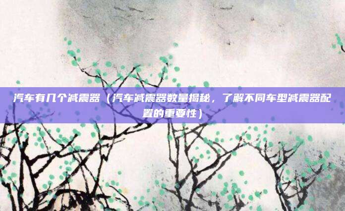 汽车有几个减震器(汽车减震器数量揭秘,了解不同车型减震器配置的重要性)