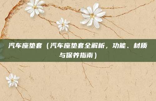 汽车座垫套(汽车座垫套全解析,功能、材质与保养指南)