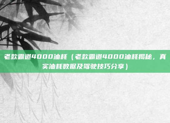 老款霸道4000油耗(老款霸道4000油耗揭秘,真实油耗数据及驾驶技巧分享)