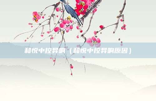 和悦中控异响(和悦中控异响原因)
