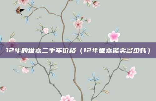 12年的世嘉二手车价格(12年世嘉能卖多少钱)