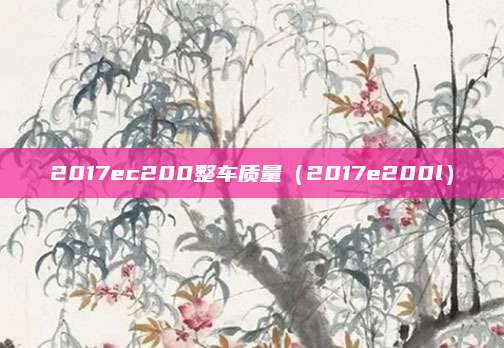 2017ec200整车质量(2017e200l)