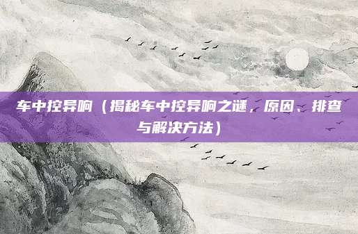 车中控异响(揭秘车中控异响之谜,原因、排查与解决方法)