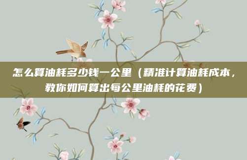 怎么算油耗多少钱一公里(精准计算油耗成本,教你如何算出每公里油耗的花费)