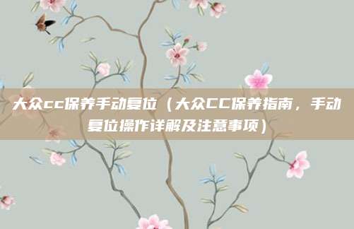 大众cc保养手动复位(大众CC保养指南,手动复位操作详解及注意事项)