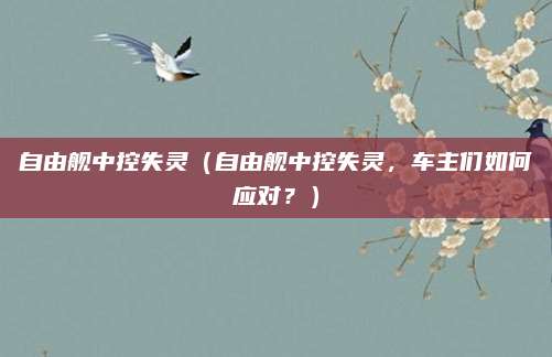 自由舰中控失灵(自由舰中控失灵,车主们如何应对?)