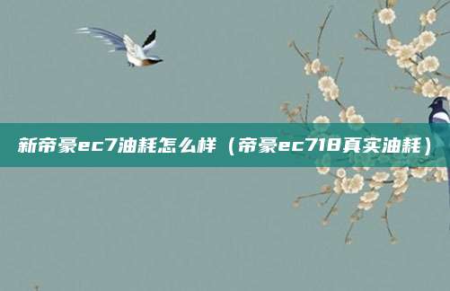 新帝豪ec7油耗怎么样(帝豪ec718真实油耗)