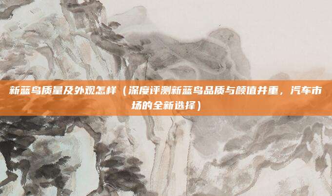 新蓝鸟质量及外观怎样(深度评测新蓝鸟品质与颜值并重,汽车市场的全新选择)
