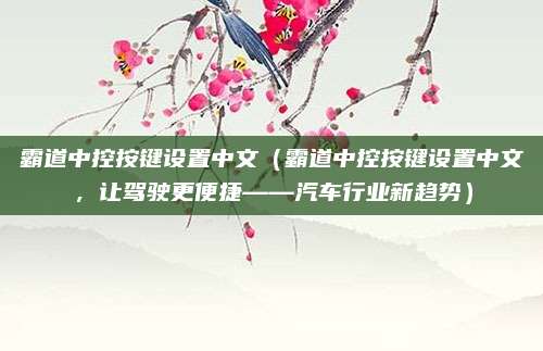 霸道中控按键设置中文(霸道中控按键设置中文,让驾驶更便捷——汽车行业新趋势)
