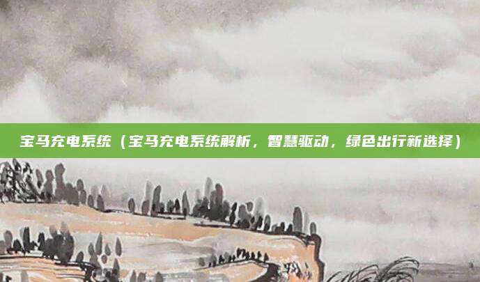 宝马充电系统(宝马充电系统解析,智慧驱动,绿色出行新选择)
