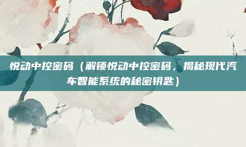 悦动中控密码(解锁悦动中控密码,揭秘现代汽车智能系统的秘密钥匙)