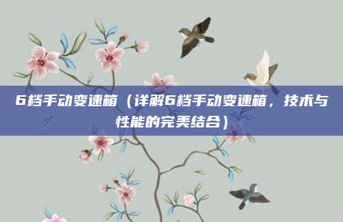6档手动变速箱(详解6档手动变速箱,技术与性能的完美结合)