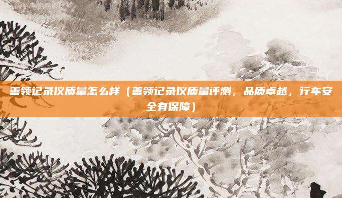善领记录仪质量怎么样(善领记录仪质量评测,品质卓越,行车安全有保障)