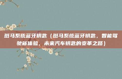 斑马系统蓝牙钥匙(斑马系统蓝牙钥匙,智能驾驶新体验,未来汽车钥匙的变革之路)