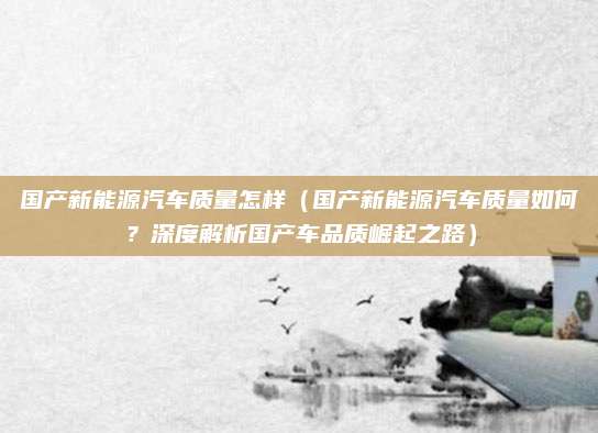 国产新能源汽车质量怎样(国产新能源汽车质量如何?深度解析国产车品质崛起之路)
