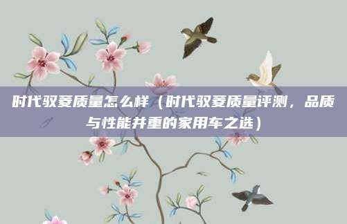 时代驭菱质量怎么样(时代驭菱质量评测,品质与性能并重的家用车之选)
