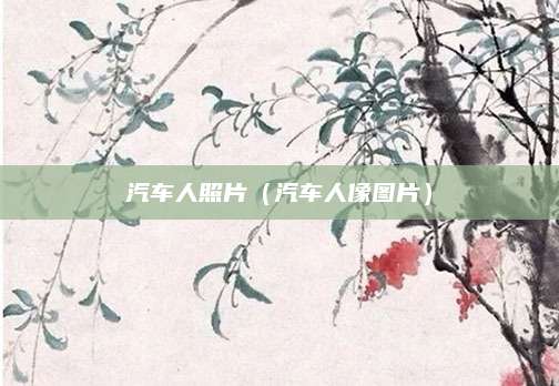 汽车人照片(汽车人像图片)