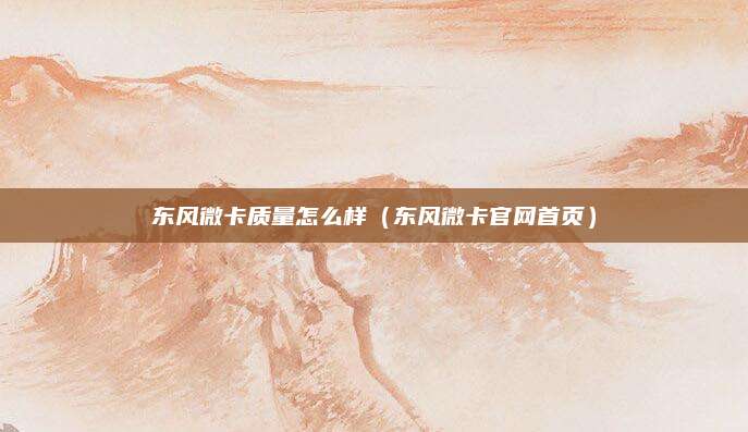 东风微卡质量怎么样(东风微卡官网首页)
