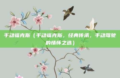 手动福克斯(手动福克斯,经典传承,手动驾驶的情怀之选)