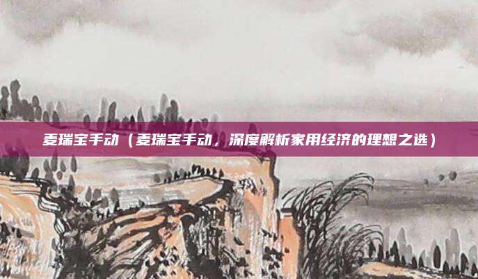 麦瑞宝手动(麦瑞宝手动,深度解析家用经济的理想之选)