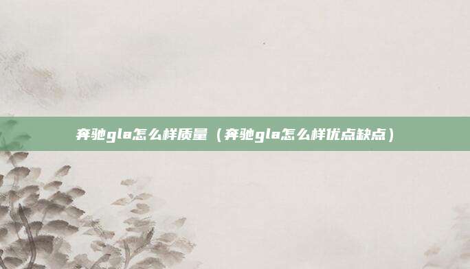 奔驰gla怎么样质量(奔驰gla怎么样优点缺点)