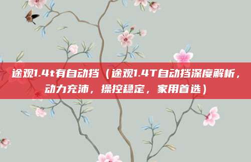 途观1.4t有自动挡(途观1.4T自动挡深度解析,动力充沛,操控稳定,家用首选)