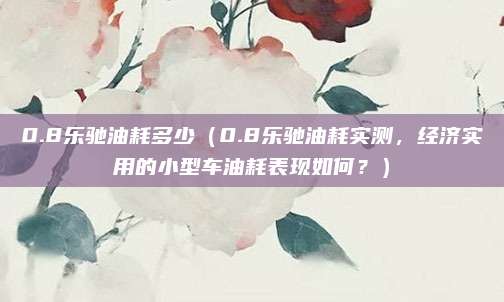 0.8乐驰油耗多少(0.8乐驰油耗实测,经济实用的小型车油耗表现如何?)