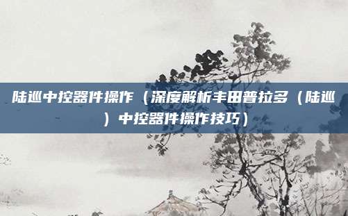 陆巡中控器件操作（深度解析丰田普拉多（陆巡）中控器件操作技巧）
