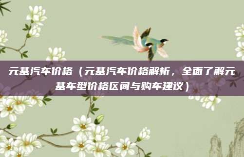 元基汽车价格(元基汽车价格解析,全面了解元基车型价格区间与购车建议)