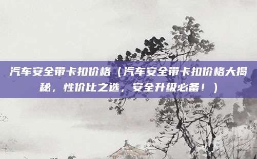 汽车安全带卡扣价格(汽车安全带卡扣价格大揭秘,性价比之选,安全升级必备!)