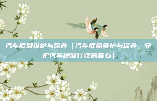 汽车底盘维护与保养(汽车底盘维护与保养,守护汽车稳健行驶的基石)