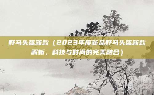 野马头盔新款(2023年度新品野马头盔新款解析,科技与时尚的完美融合)