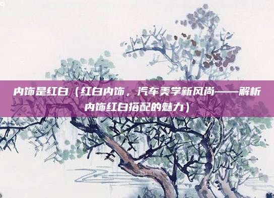 内饰是红白(红白内饰,汽车美学新风尚——解析内饰红白搭配的魅力)