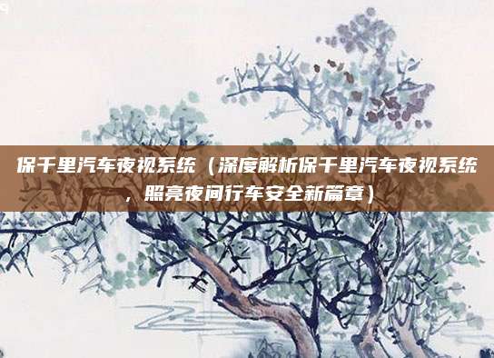 保千里汽车夜视系统(深度解析保千里汽车夜视系统,照亮夜间行车安全新篇章)