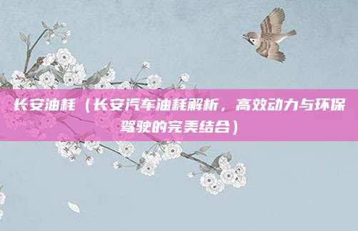 长安油耗(长安汽车油耗解析,高效动力与环保驾驶的完美结合)
