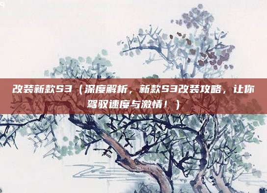 改装新款S3(深度解析,新款S3改装攻略,让你驾驭速度与激情!)