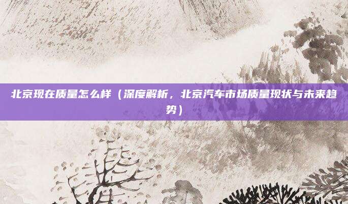 北京现在质量怎么样(深度解析,北京汽车市场质量现状与未来趋势)