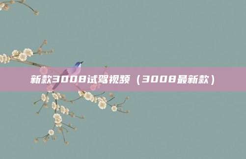 新款3008试驾视频(3008最新款)