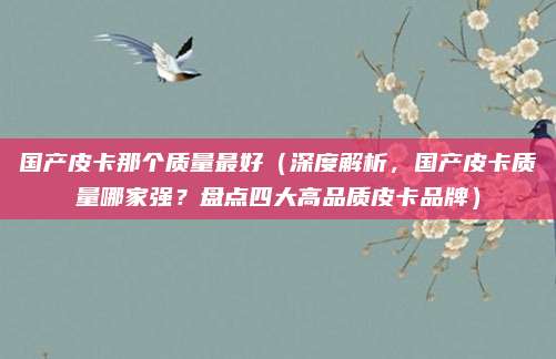国产皮卡那个质量最好(深度解析,国产皮卡质量哪家强?盘点四大高品质皮卡品牌)