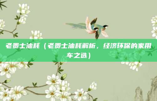 老贵士油耗(老贵士油耗解析,经济环保的家用车之选)