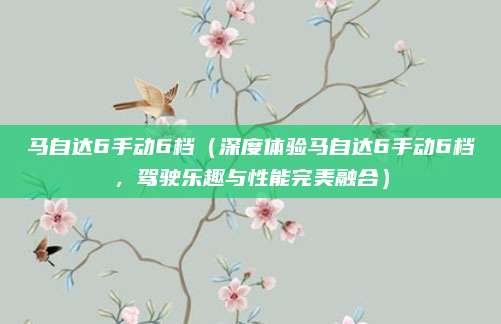 马自达6手动6档(深度体验马自达6手动6档,驾驶乐趣与性能完美融合)