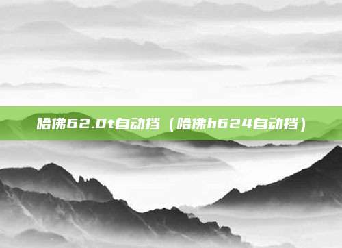 哈佛62.0t自动挡（哈佛h624自动挡）