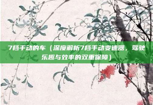 7档手动的车(深度解析7档手动变速器,驾驶乐趣与效率的双重保障)
