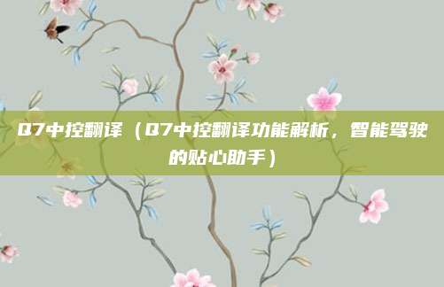 Q7中控翻译（Q7中控翻译功能解析，智能驾驶的贴心助手）